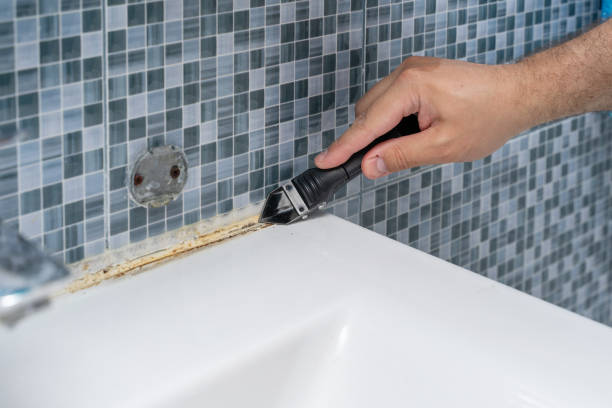 Best Mold Removal Company Near Me  in Liberty Triangle, FL