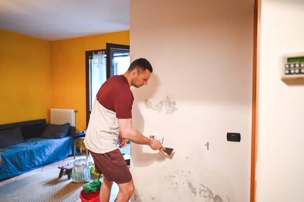 Best Same-Day Mold Removal  in Liberty Triangle, FL