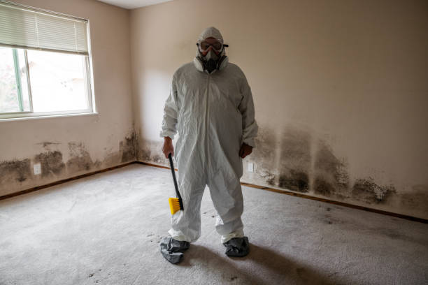 Office Mold Removal Services in Liberty Triangle, FL